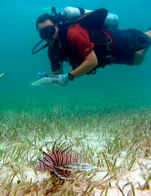 Mark Albins conducting underwater Lionfish research